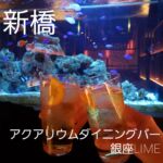 アクアリウムダイニング銀座ライム Bar 中央区 Tokyo Hangout